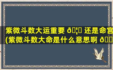 紫微斗数大运重要 🦅 还是命宫(紫微斗数大命是什么意思啊 🌹 )